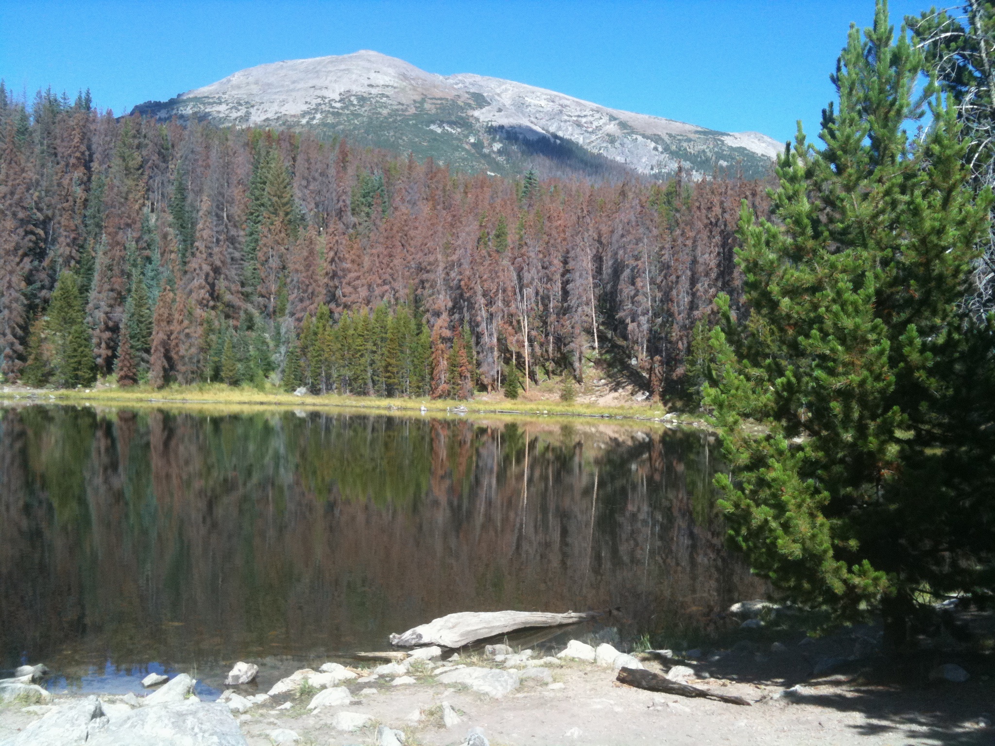 2009-09 4TH-10TH COLORADO VACATION 77.jpg